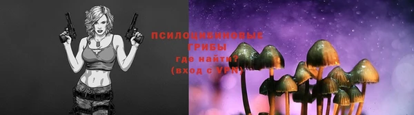 соль курить ск Аркадак
