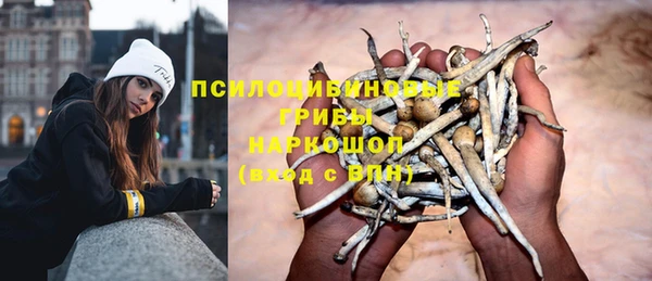соль курить ск Аркадак