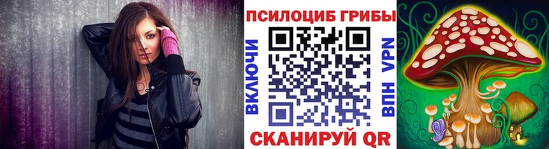 Галлюциногенные грибы Psilocybine cubensis Окуловка